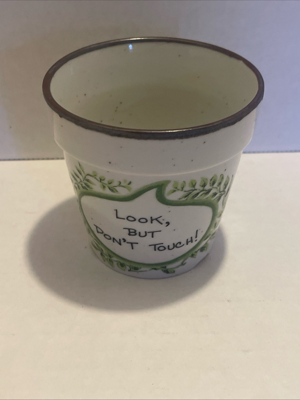 Succulent Ceramic Pot Planter with Green Leaf Motif - "Look, But Don't Touch!"